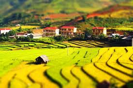 Concours de photo Vietnam – beauté éternelle